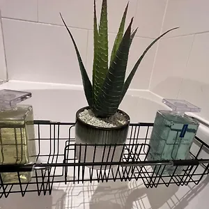 Precioushouseluxurystay Apartment